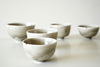 Porcelain Tumbler Lichen
